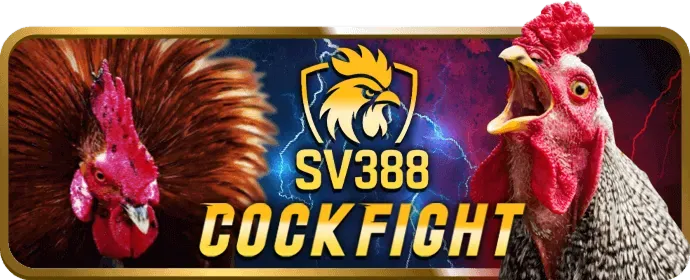 Chương trình khách hàng thân thiết 85win code